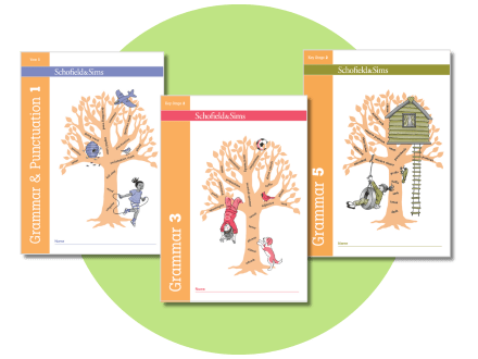 grammar and punctuation book 1 5 880x660